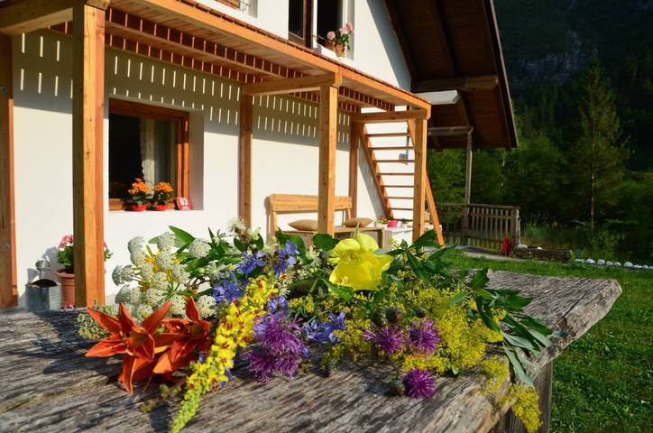 Apartament wakacyjny dla 4 osób, z Balkon/ taras i Ogród oraz Widok w Alpy Julijskie