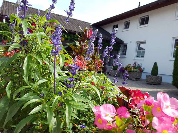 Ganze Ferienwohnung, Christl's Ferienwohnung - Christl´s Ferienwohnung in Marktoberdorf, Bayerisch Schwaben