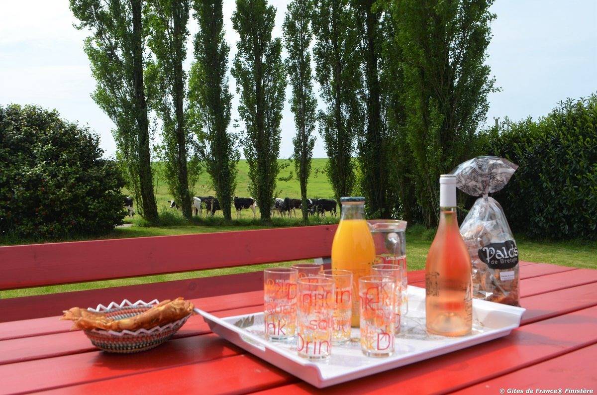 La petite Angèle in Pouldergat, Quimper und Umgebung