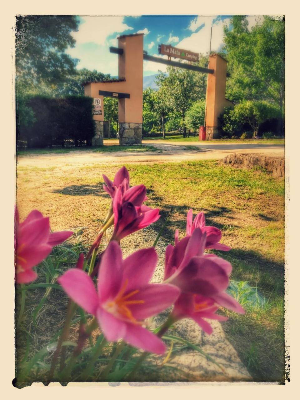 Complejo Camping La Mata in Madrigal de la Vera, Provincia de Cáceres