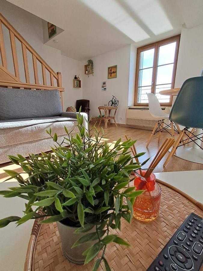Gîte pour 4 personnes, avec vue à Saint-Denis-de-l'Hôtel - 2