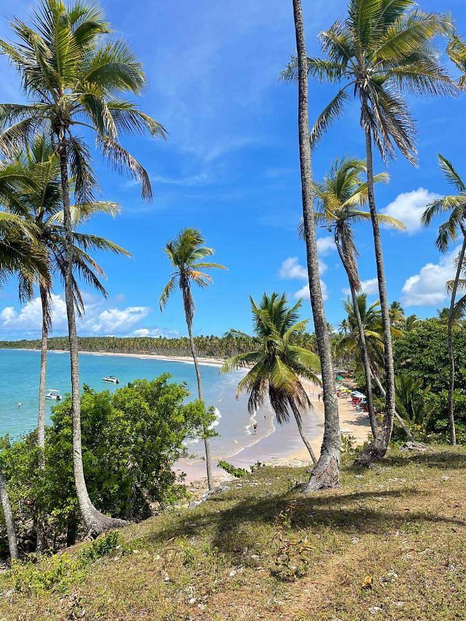 Maison d’hôte pour 3 personnes, avec terrasse, animaux acceptés dans Ilha de Boipeba - 4