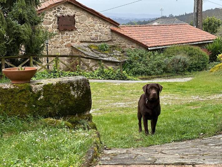 Casa rural para 8 personas, con Terraza y Jardín en Abegondo - 4