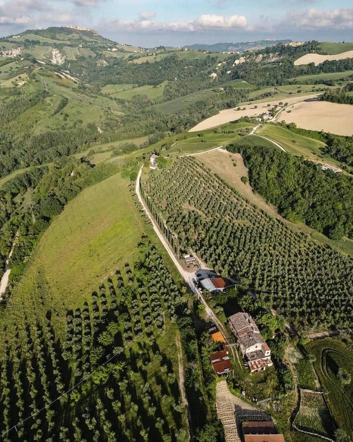 Gîte pour 5 personnes, avec jardin et piscine, animaux acceptés à Petritoli - 3