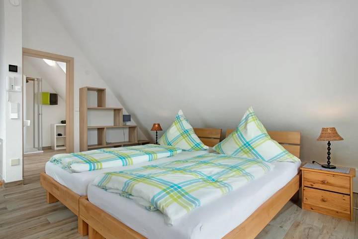Ganze Wohnung, Ferienwohnung 'Bergsuite' mit Bergblick, Gemeinschaftsterrasse und Wi-Fi in Friedrichshafen, Region Bodensee-Oberschwaben