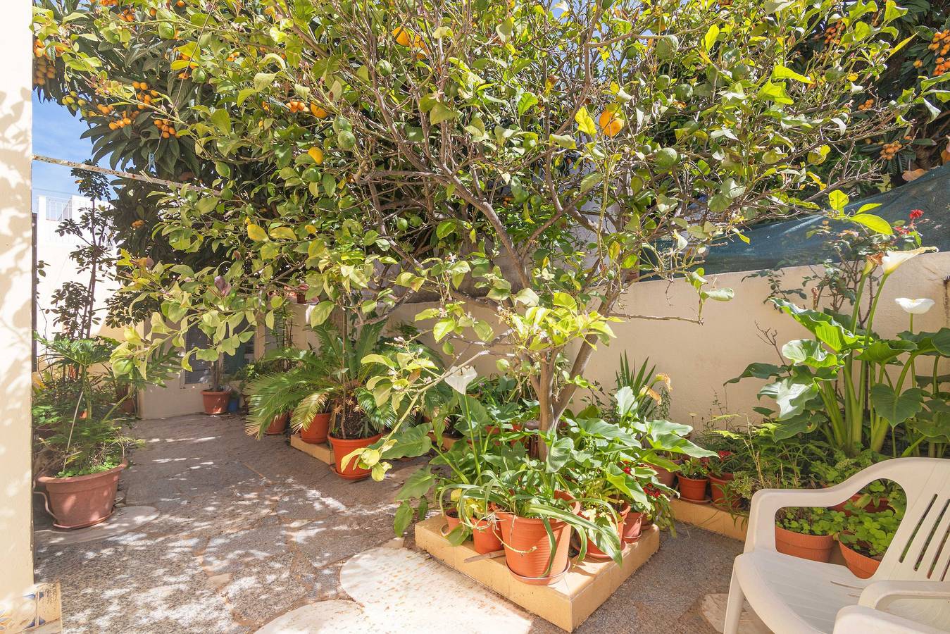 Casa de Férias 'Casa Do Sol - Estômbar' com Jardim Privado, Varanda e Wi-Fi in Estômbar, Lagoa