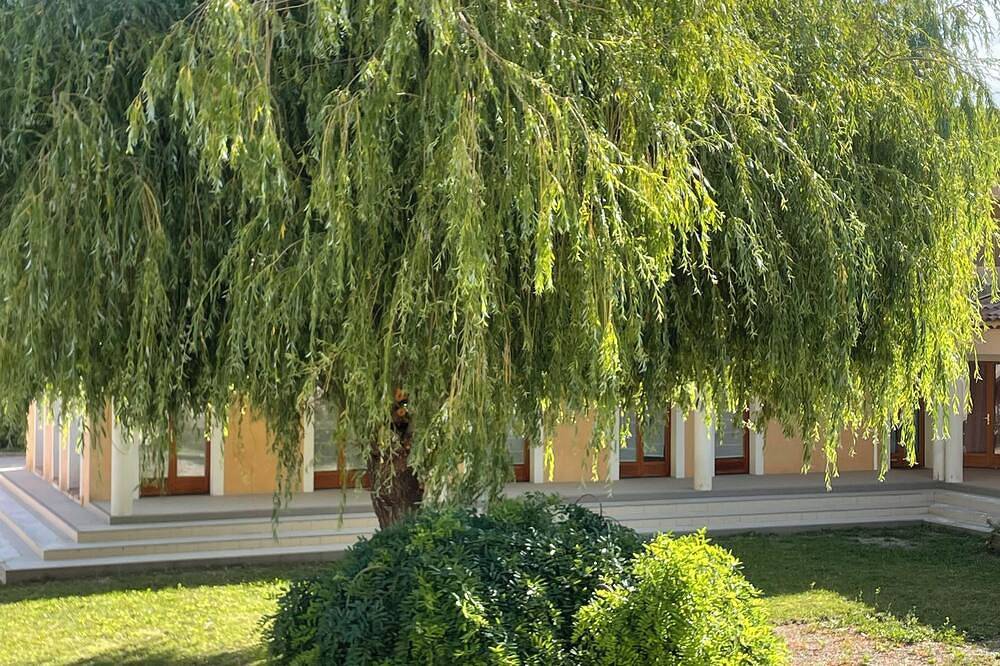 Appartement entier, Charmant T2 au pays des lavandes , à proximité immédiate des Thermes Valvital in Montbrun-les-Bains, Région de nyons