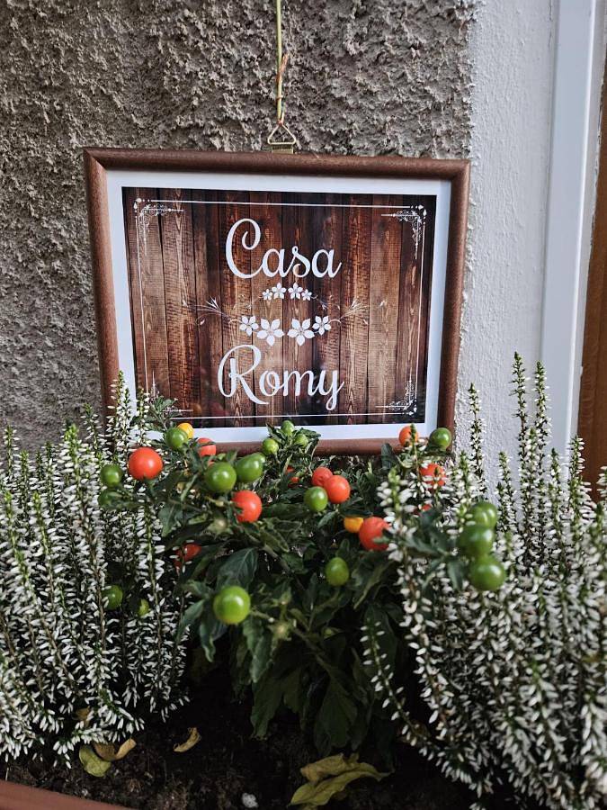 Appartement de vacances pour 5 personnes, avec jardin et vue, animaux acceptés