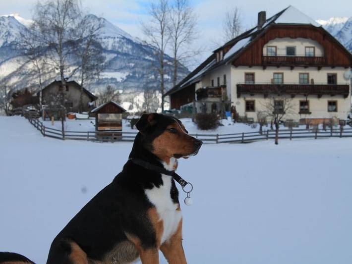 Ferienhaus für 4 Personen, mit Balkon und Garten sowie Sauna im Lungau - 3