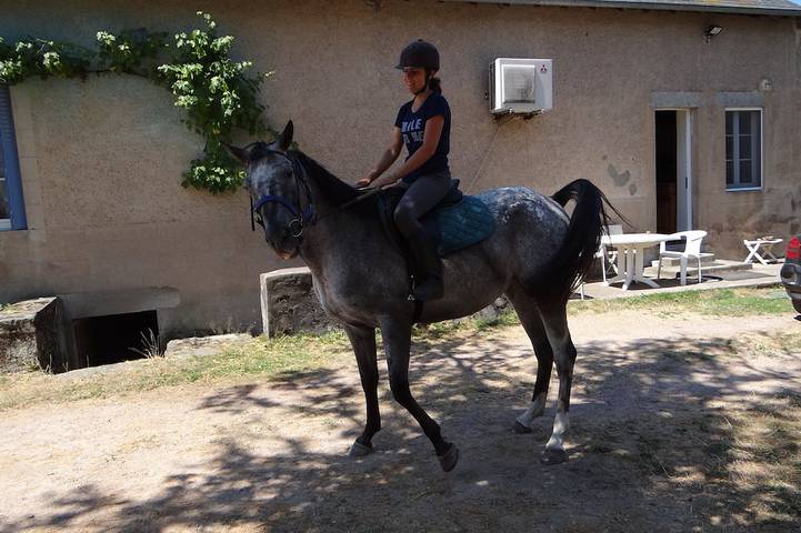 Location de vacances pour 12 personnes, animaux acceptés à Mhère