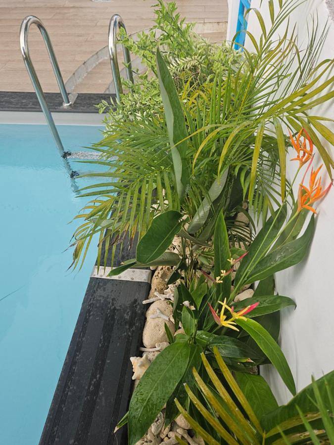 Gîte pour 3 personnes, avec vue ainsi que jardin et piscine, animaux acceptés dans Anse Corps de Garde - 4