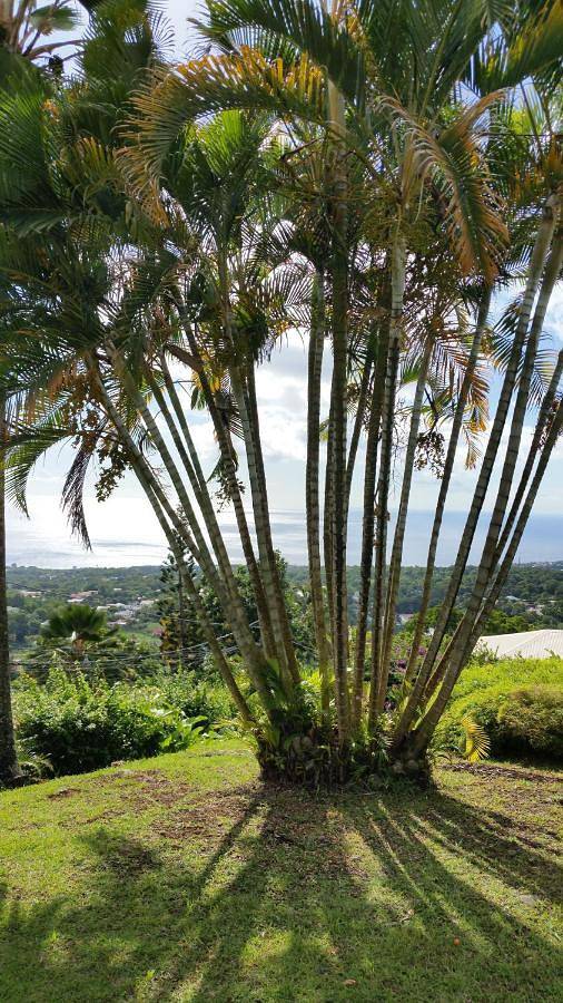 Gîte pour 3 personnes, avec vue et jardin à Gourbeyre - 3