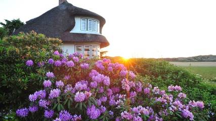 Ferienhaus mit Meerblick für 2 Personen, mit Terrasse, mit Haustier auf Sylt