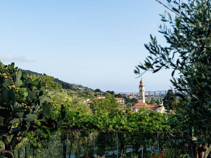 Appartamento intero, La Bouganville - Rustico con giardino in Andora, Riviera di Ponente