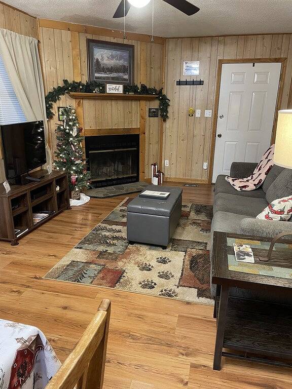 1 Playful Cub-Great unbelievable rates, check it out in Cosby (TN), Cocke County