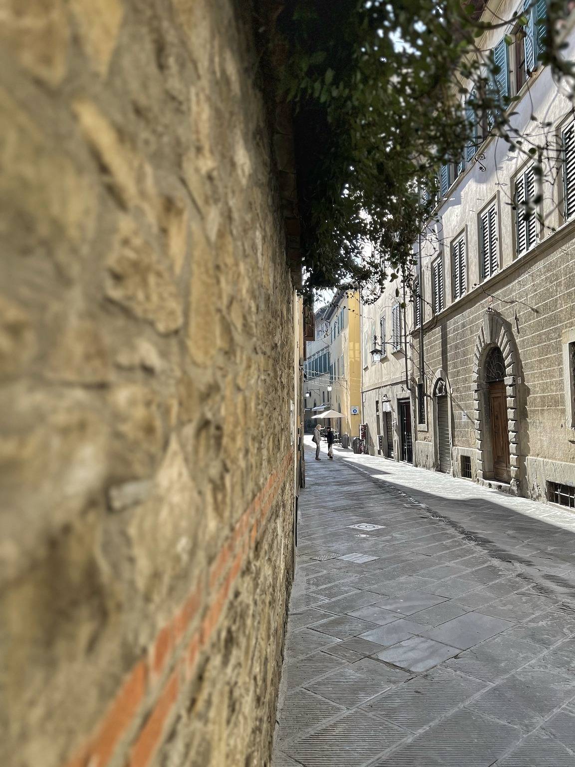 Tolletta 10 e Lode in Arezzo, Arezzo Province