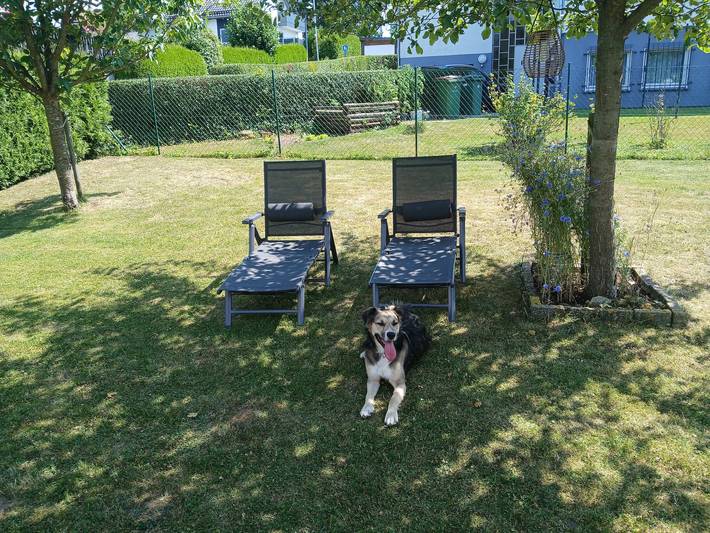 Ferienhaus für 8 Personen, mit Garten in Olsberg - 4