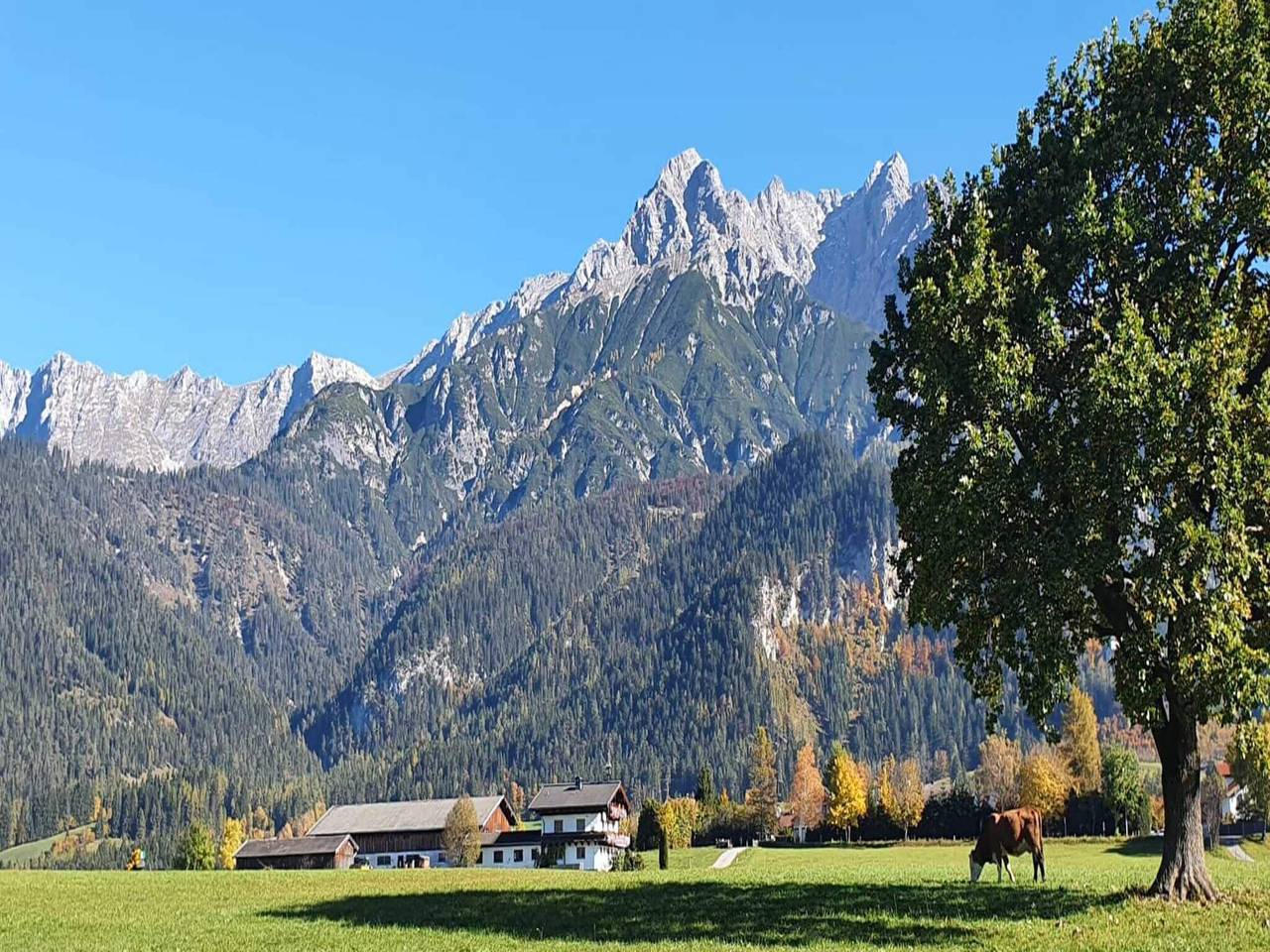 Ganze Wohnung, Wohnung in Saalfelden nahe Skipisten in Saalfelden, Saalfelden am Steinernen Meer