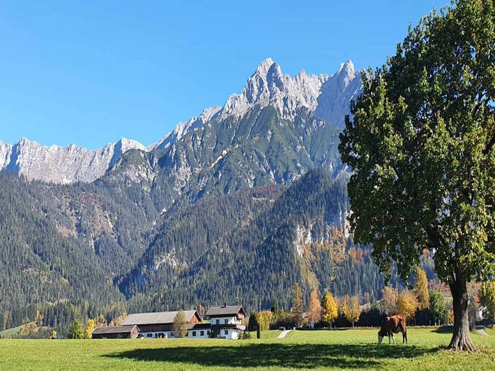 Ganze Wohnung, Urlaub am Biobauernhof nahe Skipisten in Saalfelden, Saalfelden am Steinernen Meer