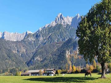 Ferienwohnung für 6 Personen in Saalfelden am Steinernen Meer, Steinernes Meer, Bild 4