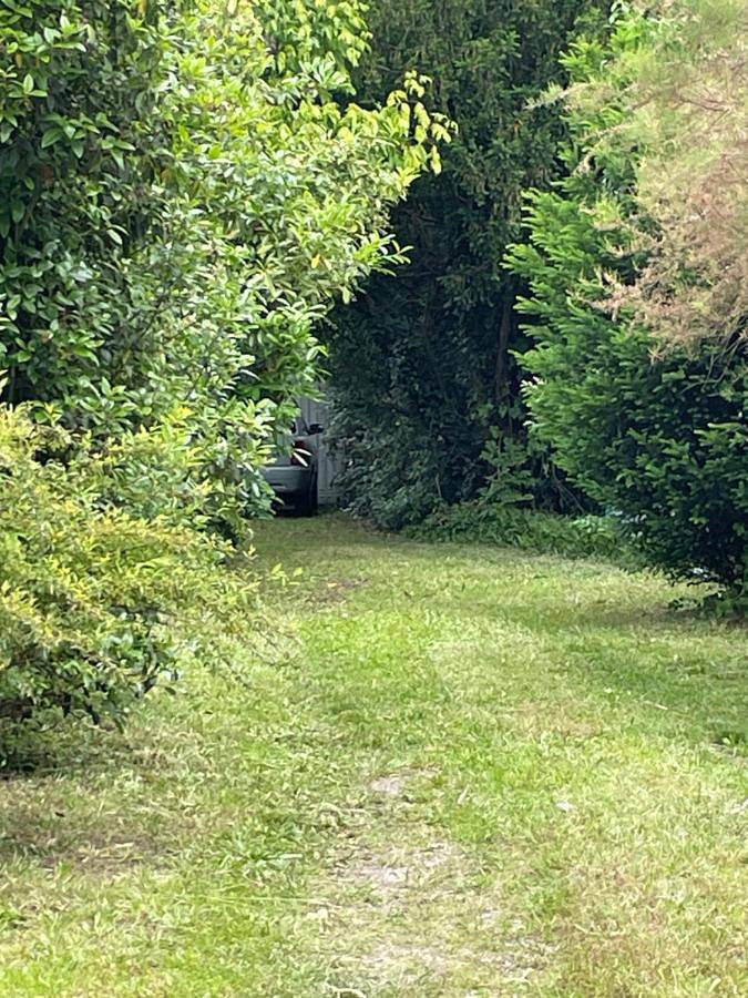 Location de vacances pour 7 personnes, avec vue et jardin, animaux acceptés à Le Taillan-Médoc - 4