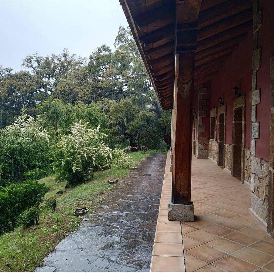 Apartamento entero, Apartamentos Rurales La Oropendola in Jaraíz de la Vera, Provincia de Cáceres