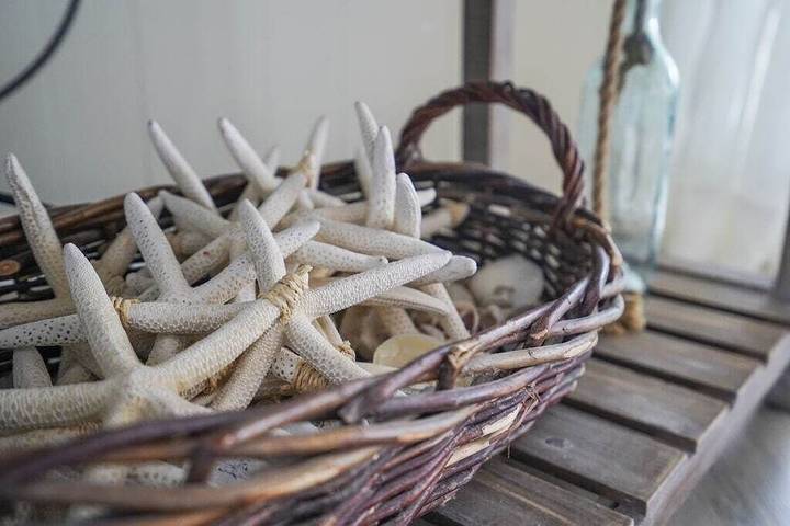 Vacation rental for 12 people, with yard and balcony in Mexico Beach (FL)