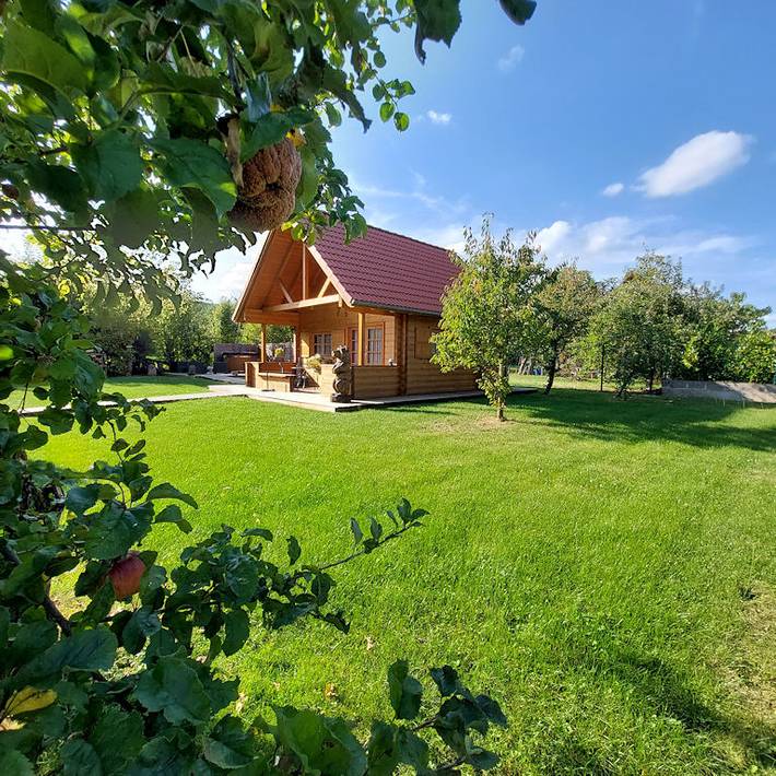 Gîte pour 4 personnes, avec jacuzzi ainsi que jardin et terrasse à Obernai - 2