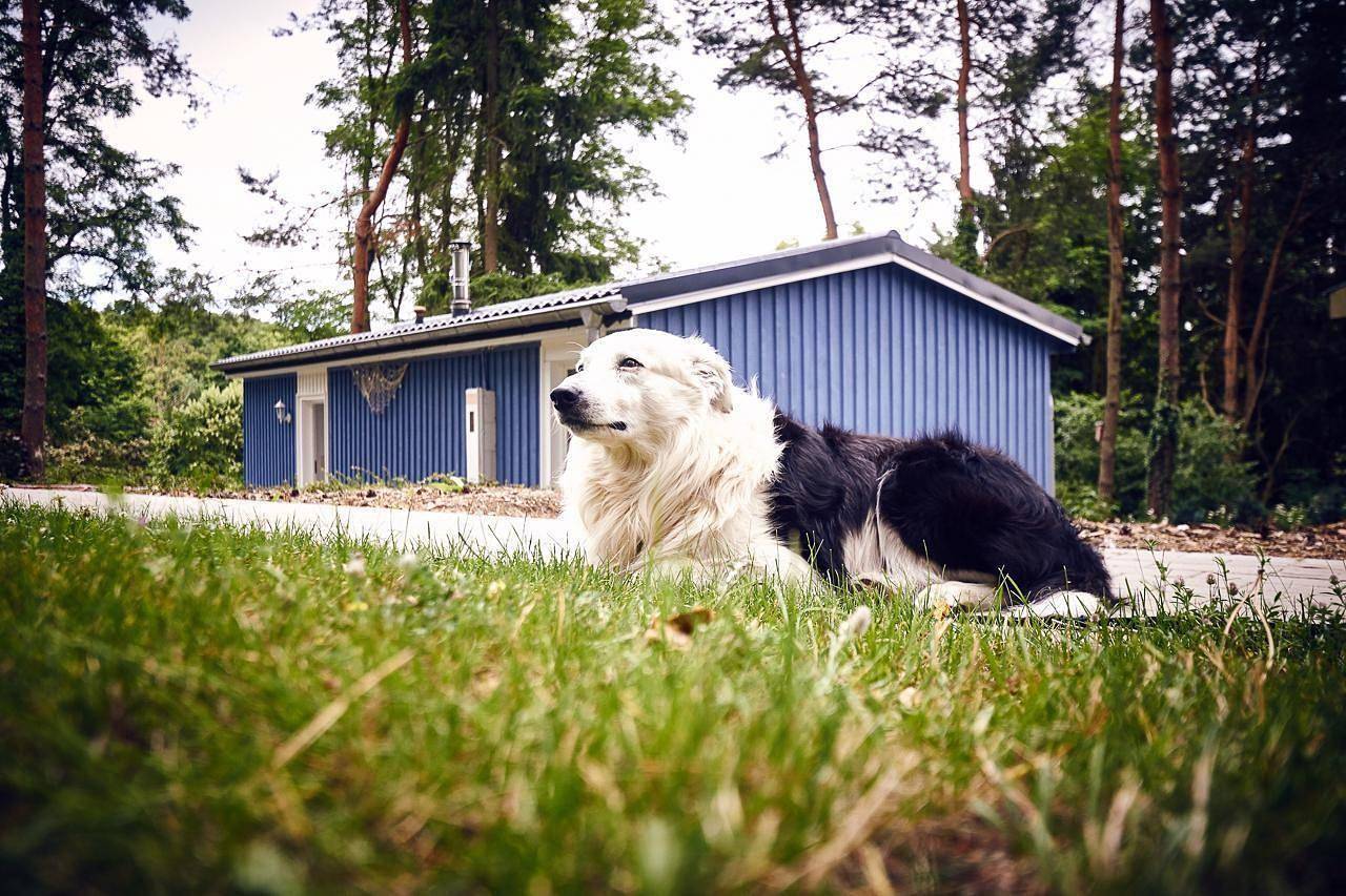 Ferienhaus "Waldhäuser Himmelpfort" in Himmelpfort, Ruppiner Seenland