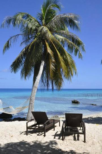 Chambre d’hôte pour 5 personnes, avec jardin et terrasse dans Rangiroa