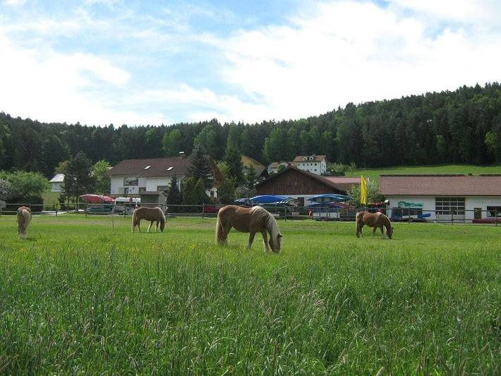 Ferienhaus für 2 Personen, mit Garten und Terrasse, mit Haustier - 1
