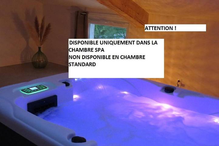 Location de vacances pour 2 personnes, avec piscine ainsi que jardin et jacuzzi à Saint-Julien-de-Cassagnas - 3