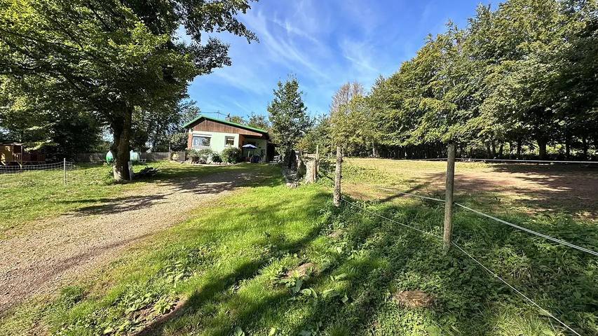 Ferienhaus für 3 Personen, mit Garten im Saarland - 2
