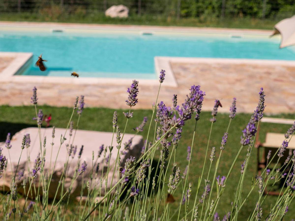 One-Bedroom Apartment in Urbino, Pesaro-Urbino