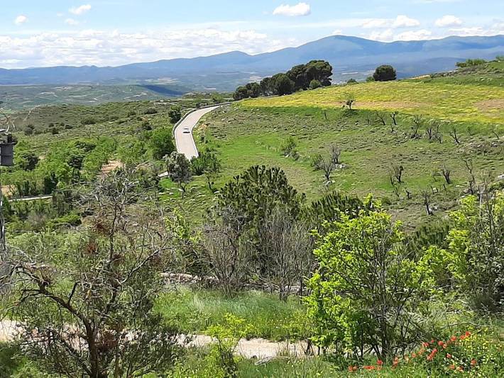 Casa rural con piscina para 5 personas, con vistas además de jardín y piscina, Se admiten mascotas en Provincia de Zaragoza - 4