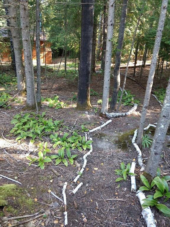 Log cabin for 2 people in Minnesota