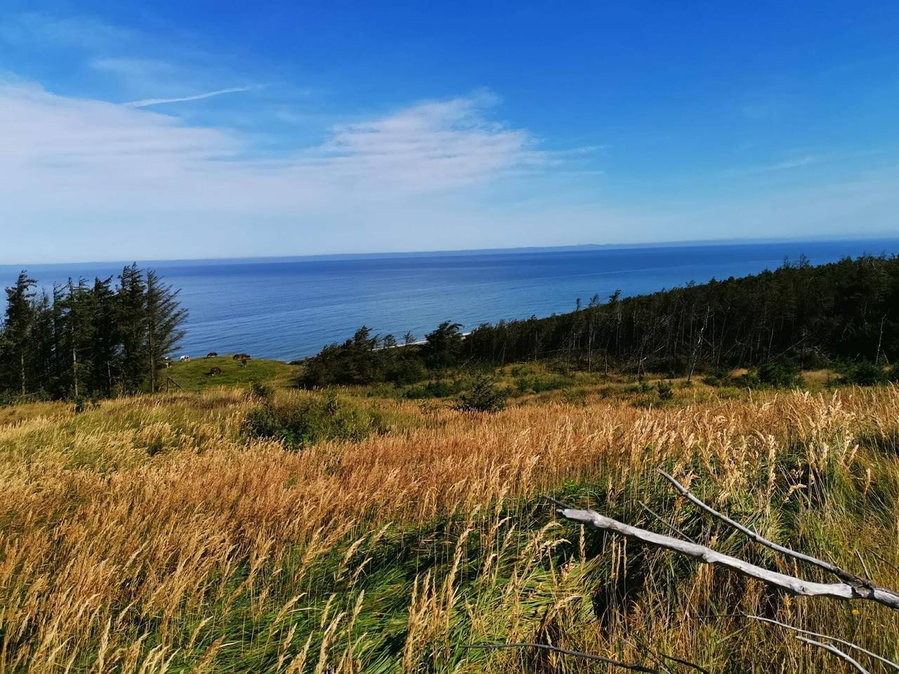 10 Personen Ferienhaus in Fjerritslev-By Traum in Slettestrand, Jammerbugt