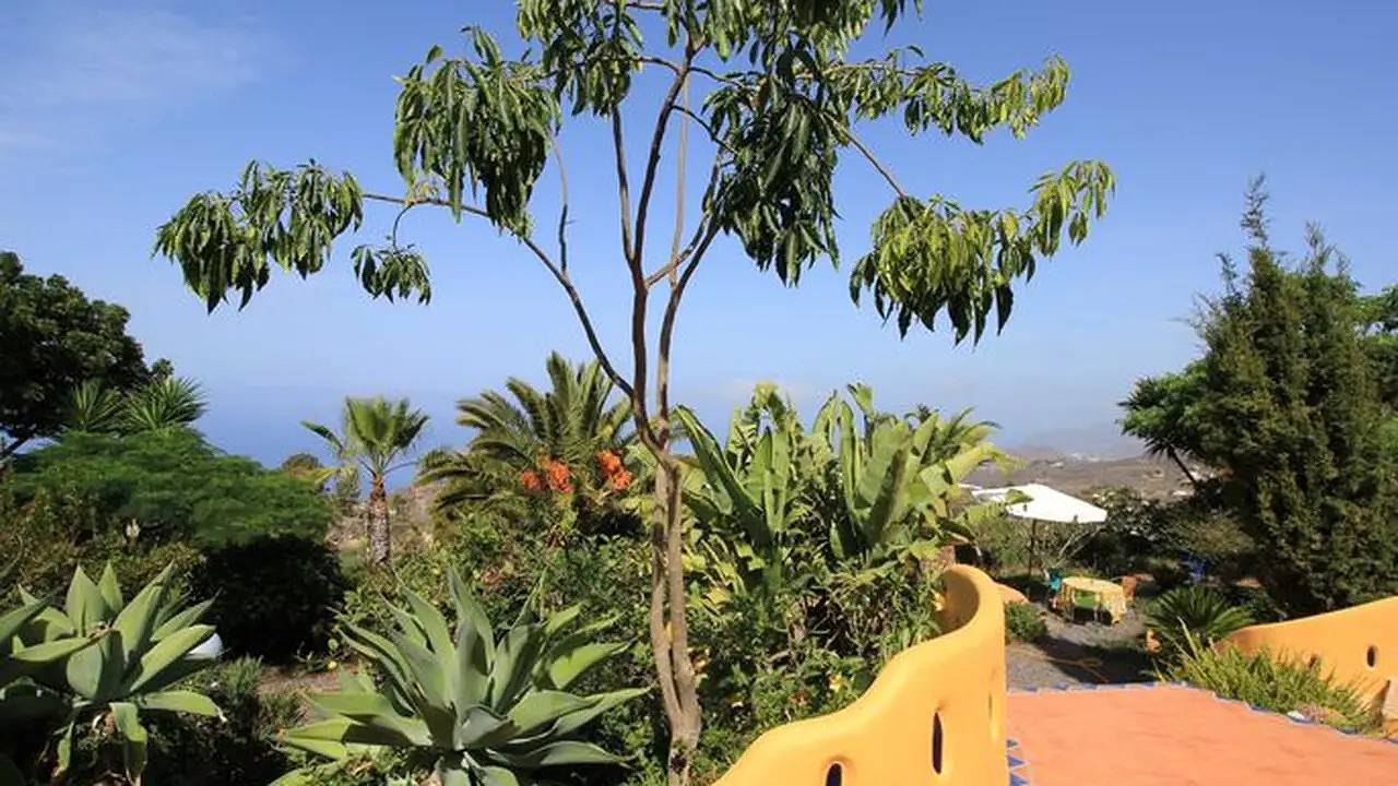 Apartamento vacacional entero, Ferienwohnung für 2 Personen (45 m²) in Manchas de Abajo in Jedey, Los Llanos de Aridane