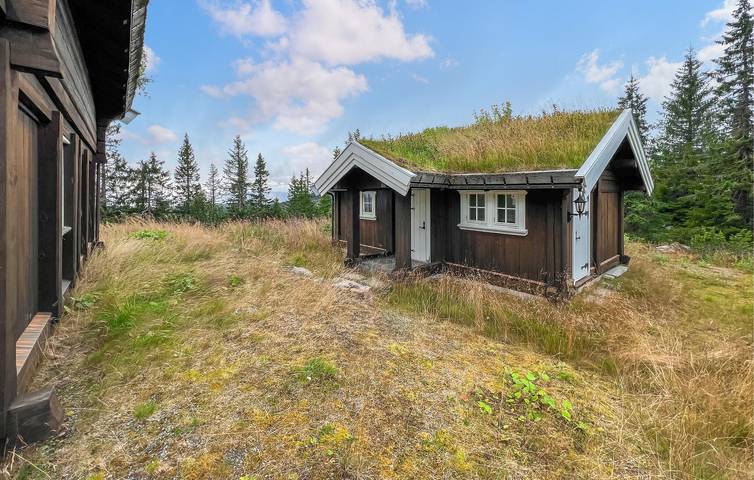 Location de vacances pour 12 personnes, avec jardin ainsi que terrasse et sauna dans Lillehammer - 4