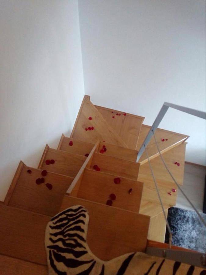 Gîte pour 7 personnes à Mirandela - 3