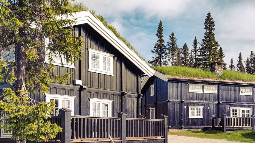 Vakantiehuis voor 10 personen, met terras, met huisdier in Oppland