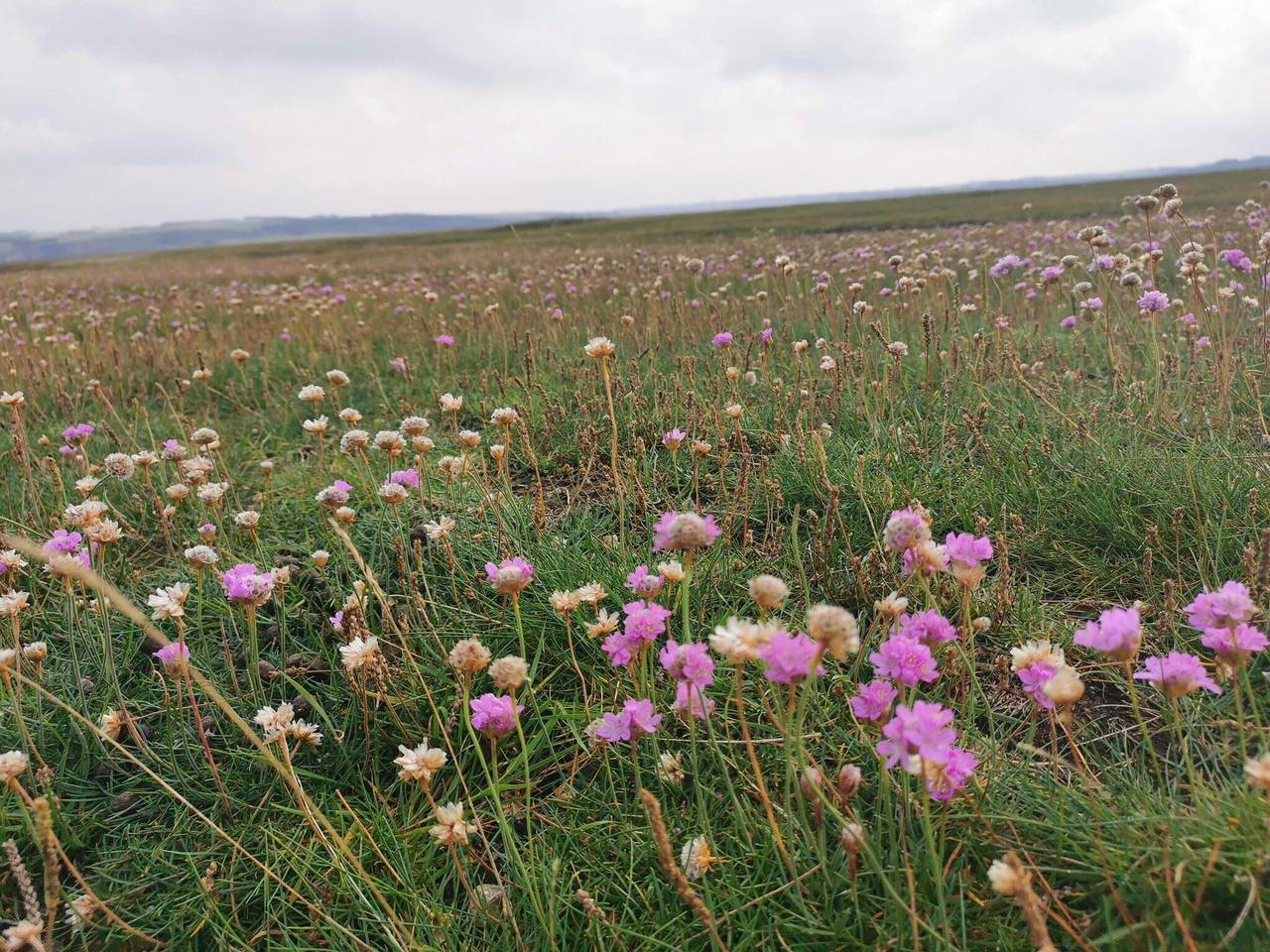 8 Personen Ferienhaus in Lemvig-By Traum in Underbjerg, Limfjord in Westjütland