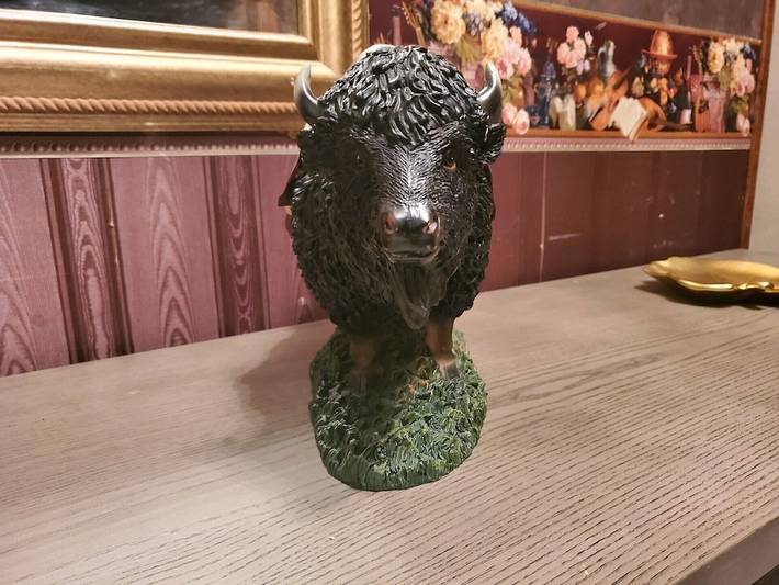 Vacation rental for 16 people, with yard in Lawton