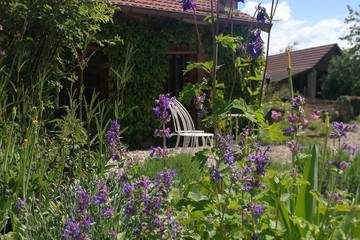 Cottage pour 3 personnes, avec piscine ainsi que jacuzzi et jardin à Montcony