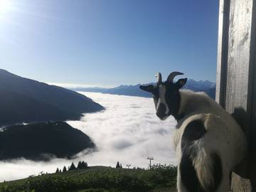 Chalet für 9 Personen in Mittersill, Kitzbüheler Alpen, Bild 2