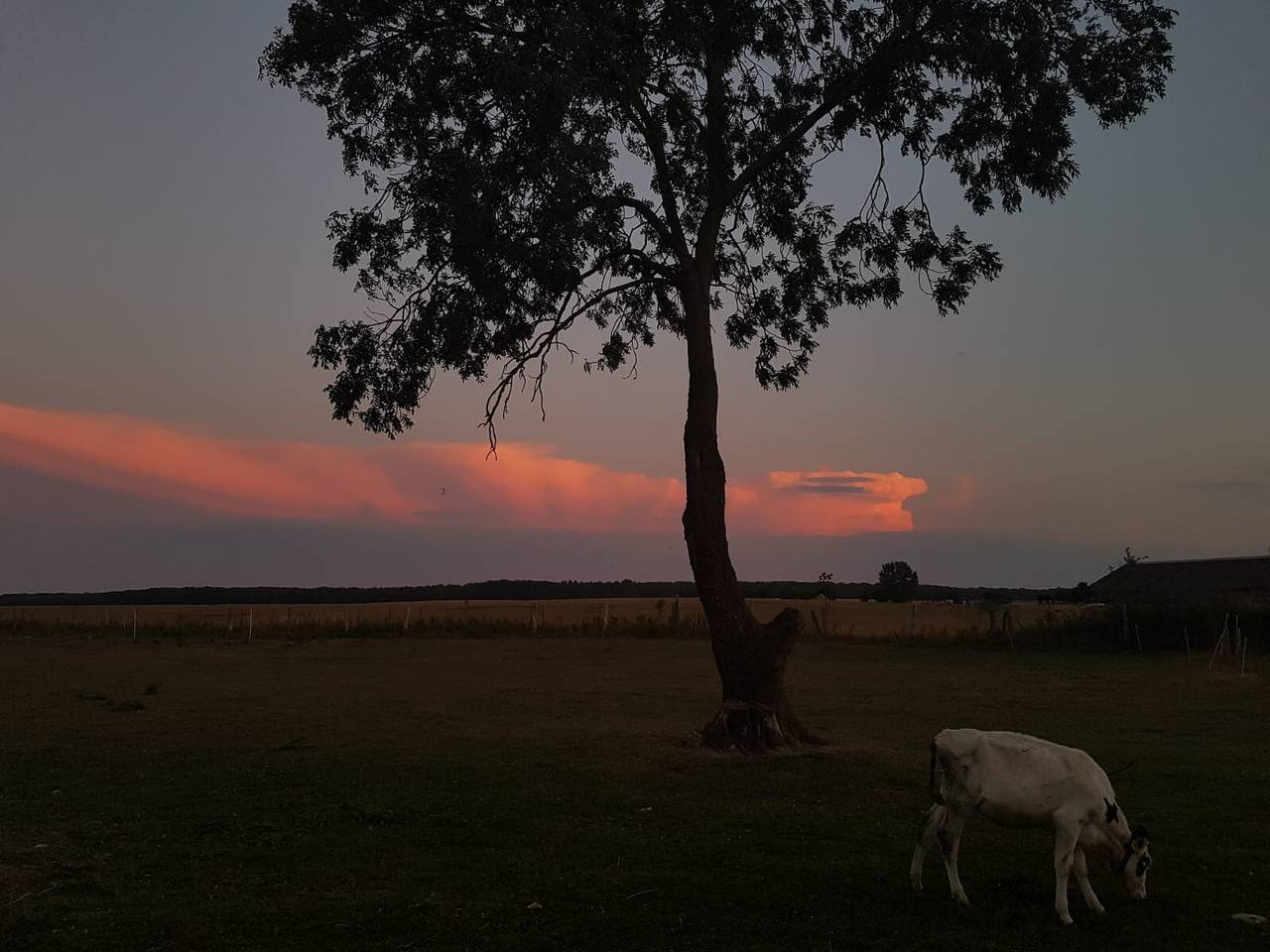 Ganze Wohnung, Apartment „Lütt Smedhoff - Dresden“ mit Gemeinschaftspool, Garten und Wlan in Mecklenburgische Seenplatte