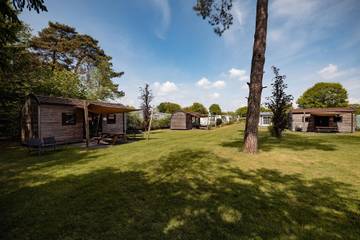 Lodge voor 4 Personen in Sallandse Heuvelrug, Overijssel, Afbeelding 4