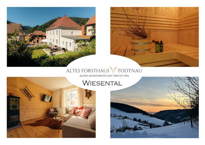 Vakantiewoning voor 6 personen, met sauna en tuin in Todtnau