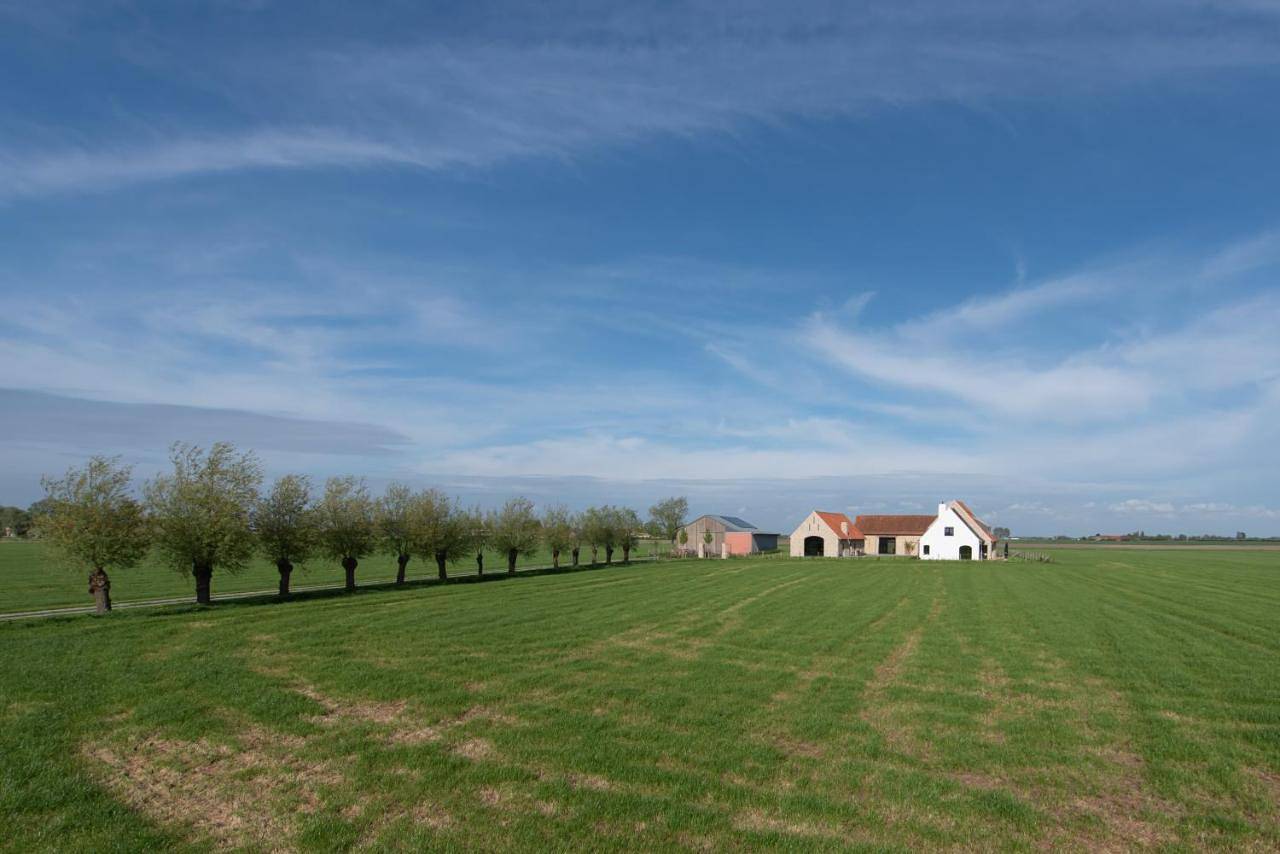 Country house - 'T Reigershof in Steenkerke, Veurne