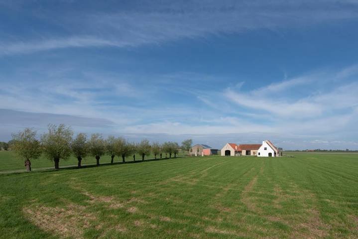 Location de vacances pour 22 personnes, avec jardin à Furnes - 4